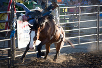 BNH_170729_Rodeo_5